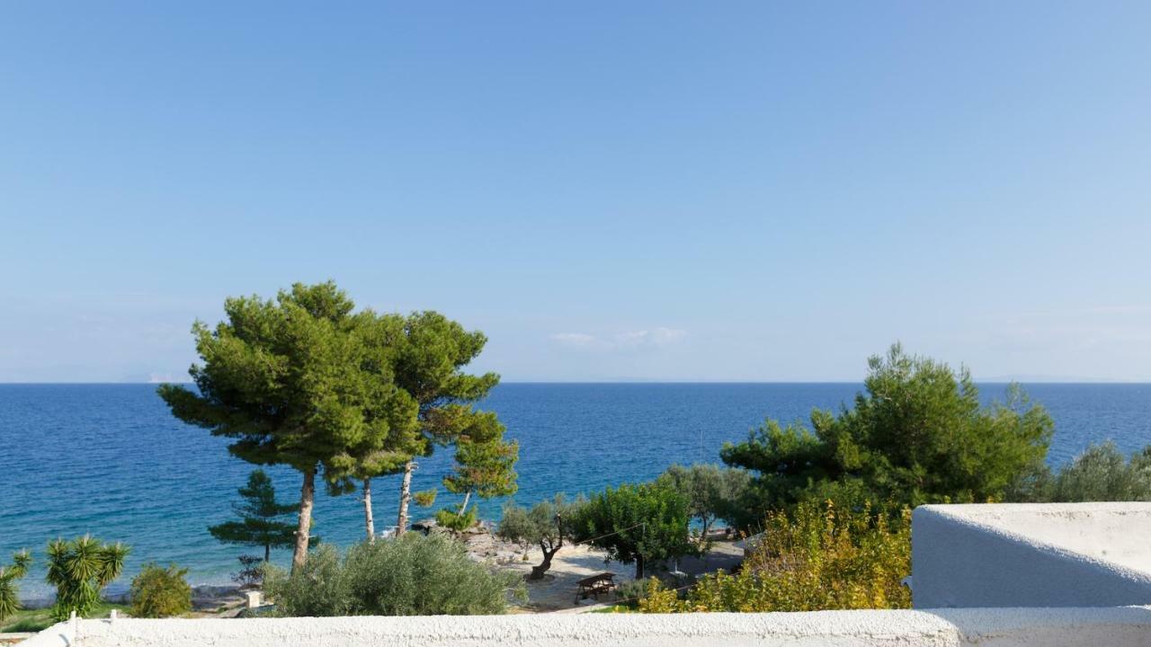 Into The Blue Villa Arkadiko Chorio Exterior photo